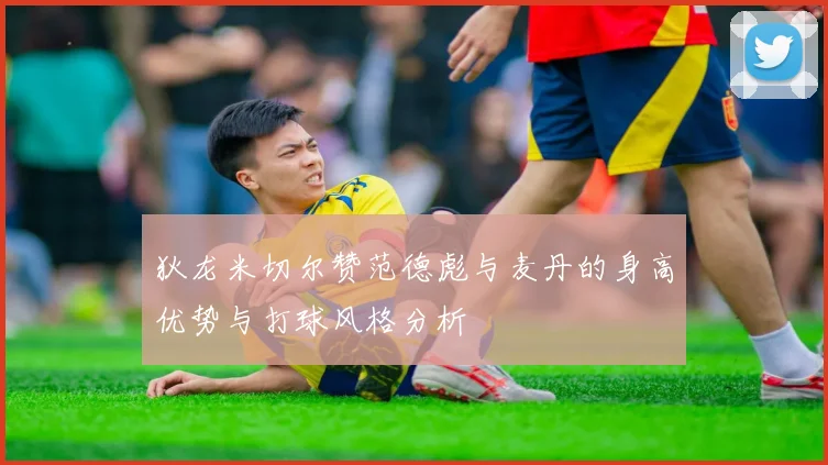 狄龙米切尔赞范德彪与麦丹的身高优势与打球风格分析